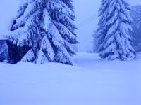 DSC00050.JPG