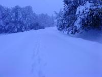DSC00051.JPG