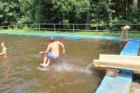 IMG_2694.jpg