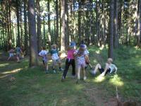 foto95.jpg