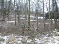 DSCN7498.JPG