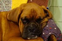 DSC00440.JPG