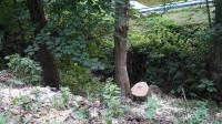 DSC02057.JPG