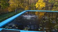 DSC02334.JPG
