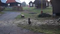 DSC03002.JPG