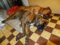 DSCF2861.JPG
