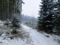 DSCF2866.JPG