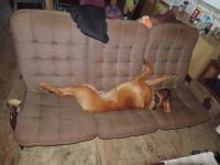 DSCN7089.JPG