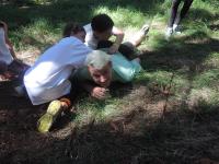 DSCN7185.JPG