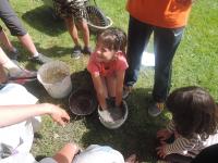 DSCN7729.JPG