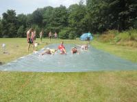 DSCN8313.JPG