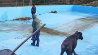 DSC08782.JPG
