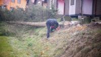 DSC08803.JPG