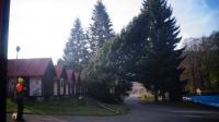 DSC08821.JPG