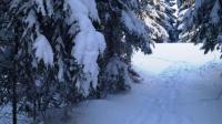 DSC08991.JPG