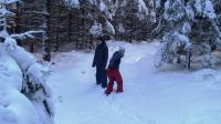 DSC08998.JPG