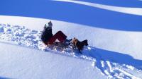 DSC09014.JPG