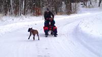 DSC09051.JPG