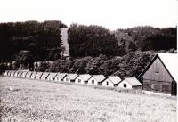 Orlice__0005.jpg