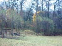 IMG_20171106_124525.jpg