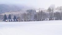 DSC06157.JPG