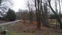DSC06246.JPG
