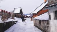 DSC07054.JPG