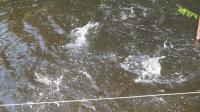 DSC01869.JPG