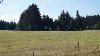 DSC08518.JPG