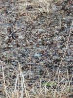 IMG_20200223_112335.jpg