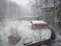 IMG_20200226_153559.jpg