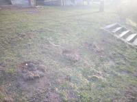 IMG_20200410_184132.jpg