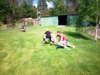 IMG_20200516_153153.jpg
