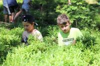 IMG_9960.jpg