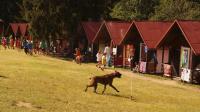 DSC08035.JPG