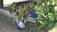 DSC08590.JPG