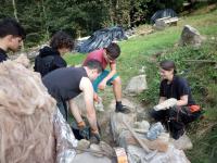IMG_20200919_170127.jpg
