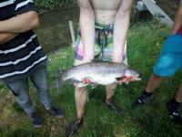 IMG_20200920_122305.jpg