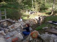 IMG_20201003_152743.jpg
