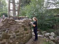 IMG_20201003_153034.jpg
