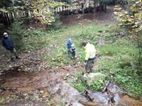 IMG_20201017_145046.jpg