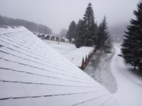 IMG_20201129_074715.jpg
