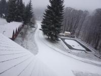 IMG_20201129_074724.jpg