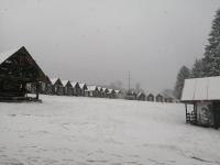 IMG_20201129_142551.jpg