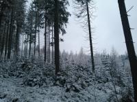 IMG_20201201_160626.jpg