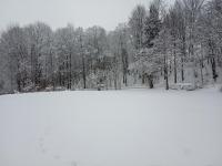 IMG_20210108_131621.jpg