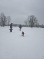 IMG_20210116_151948.jpg