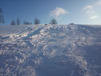 IMG_20210117_150345.jpg