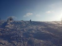 IMG_20210117_150446.jpg