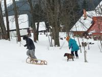 IMG_20210130_141226.jpg